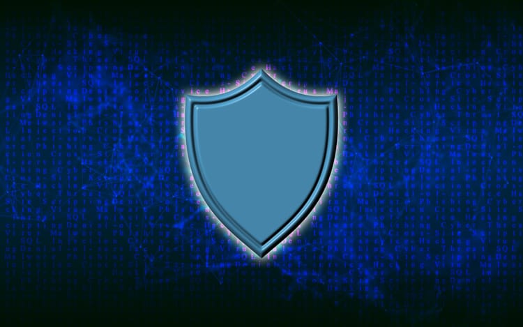 A shield to protect you online